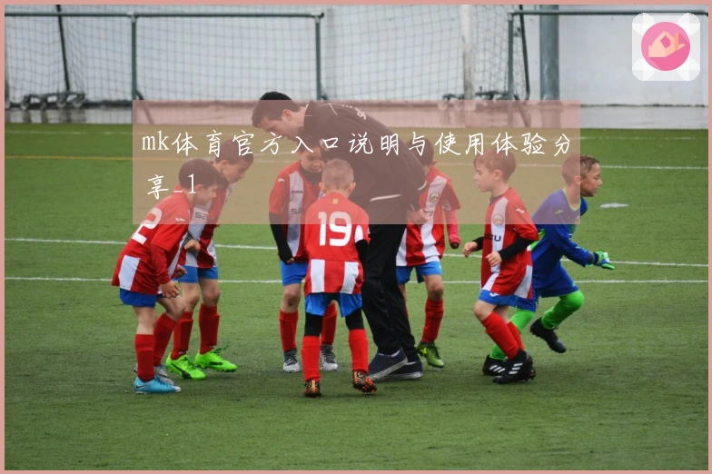 mk体育官方入口说明与使用体验分享_1